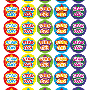 Star of the Day Sticker Sheet