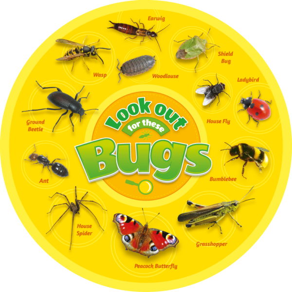 Bugs Identification Sign for Schools