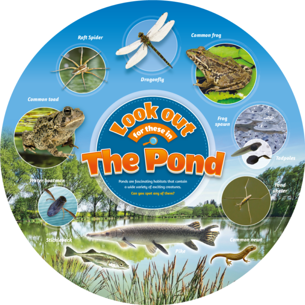 Pond Life Identification Sign