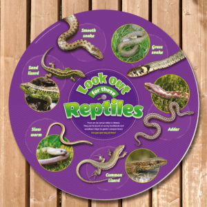 Reptiles Identification Sign for Schools