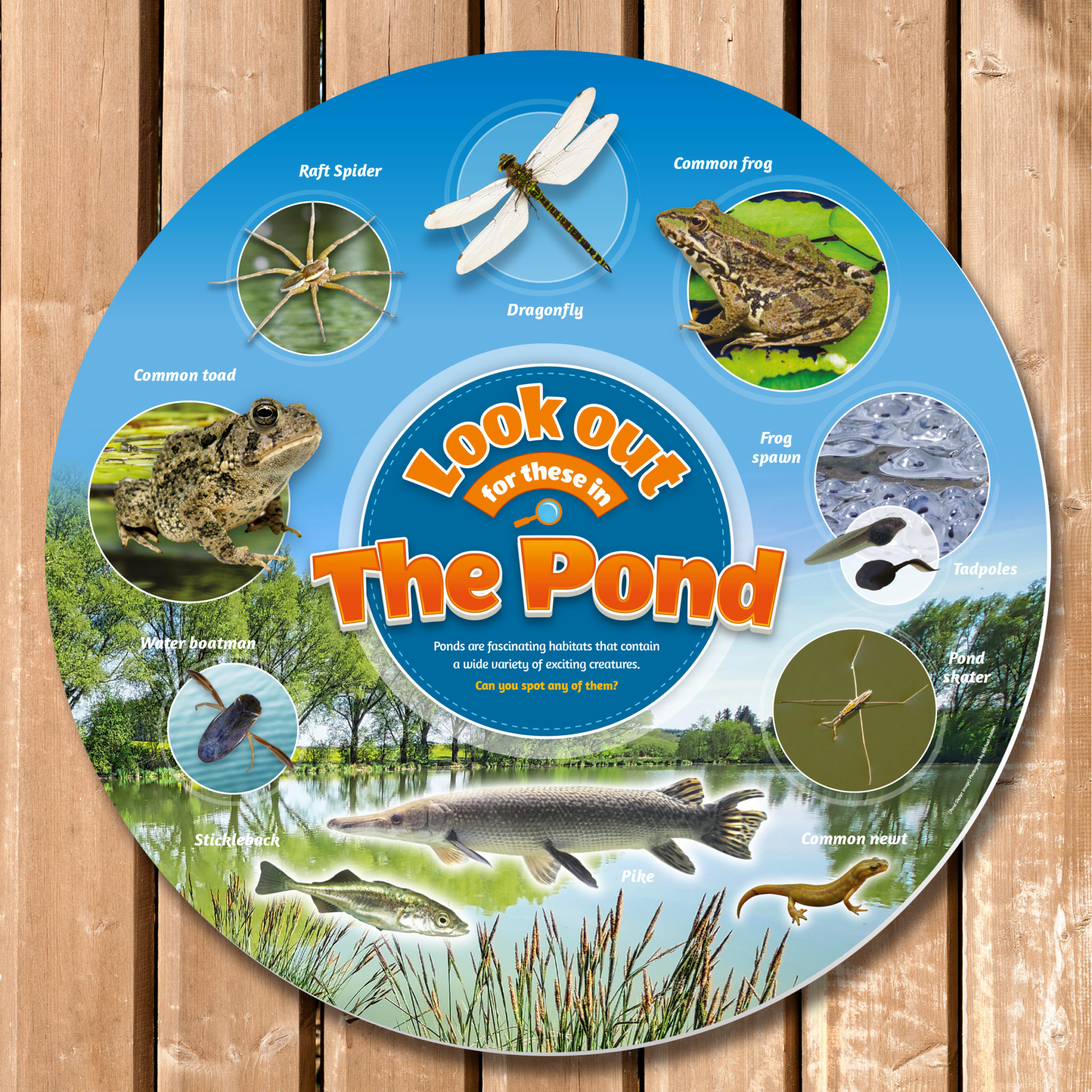 Pond Life Identification Sign, Circular Perfect for School Nature Areas