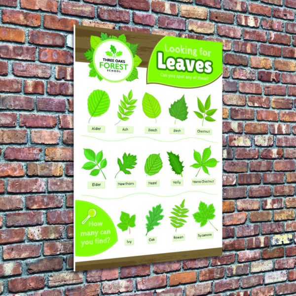 Tree Leaves Identification Sign for Schools and Forest Schools