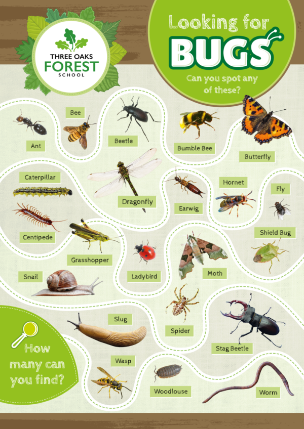 Forest School Bug Identification Sign