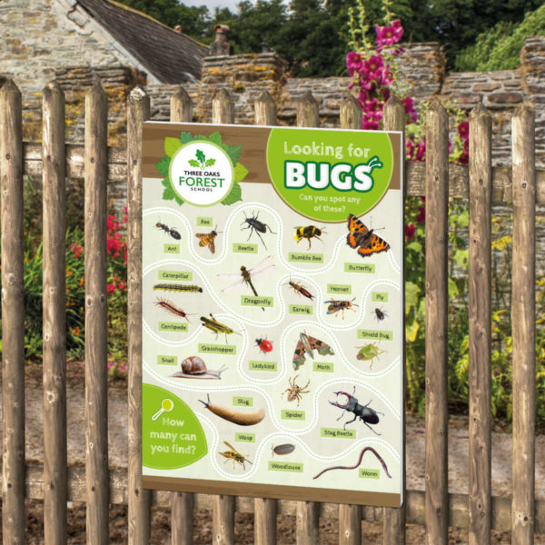 Forest School Bug Identification Sign