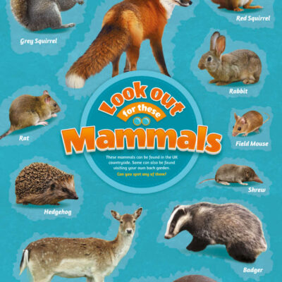 Mammals Identification Poster