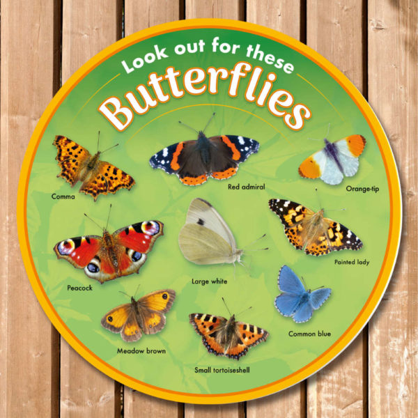 Butterfly Identification Sign for Schools