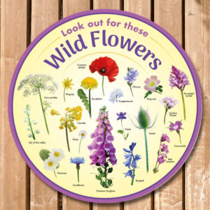 Wildflowers Identification Sign for Schools