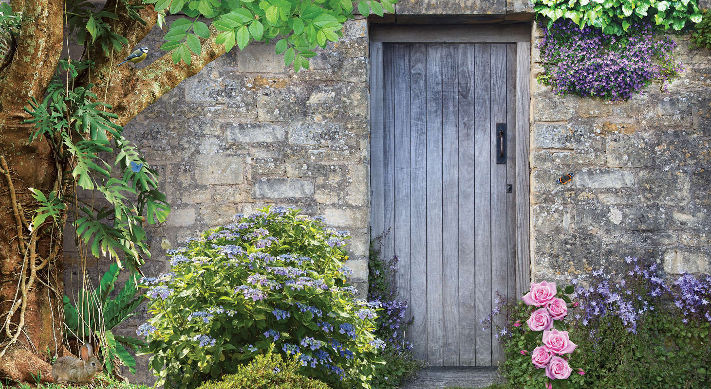 Hanging Vines Wall Print Secret Garden 