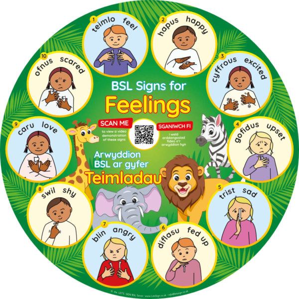 SSSBSL0024 BSL Feelings Sign - Welsh